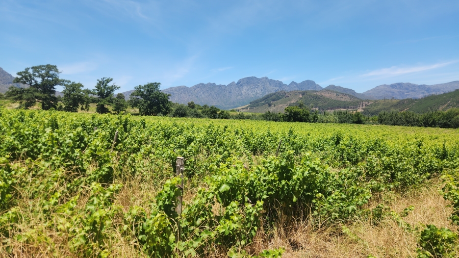 Commercial Property for Sale in Franschhoek Rural Western Cape